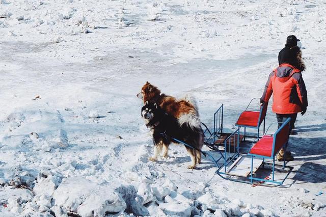 哈爾濱旅遊有哪些攻略?-哈尔滨旅游攻略路线最佳路线