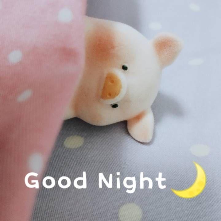 大家有没有lulu猪的表情包呢