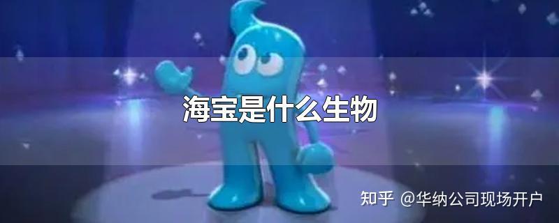海宝有什么作用