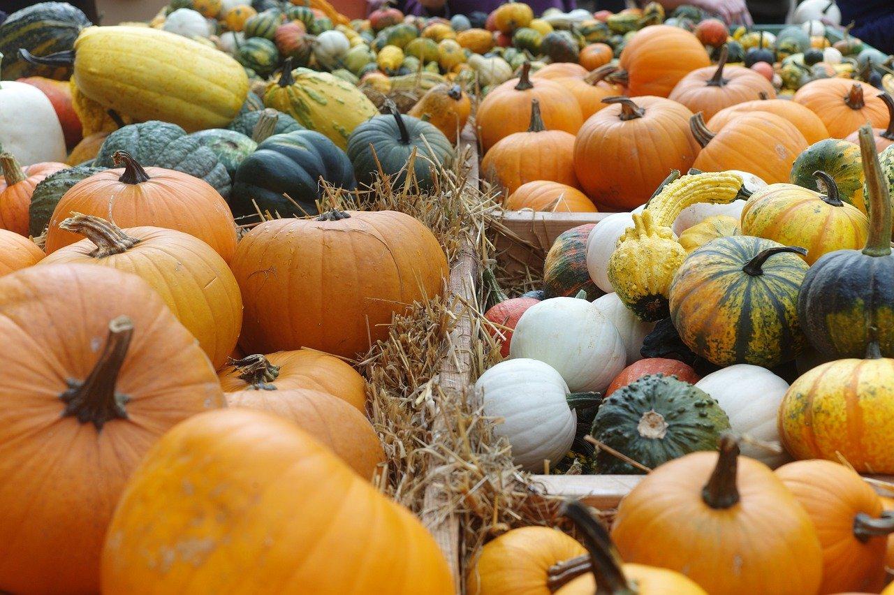 丰收的喜悦瞬间