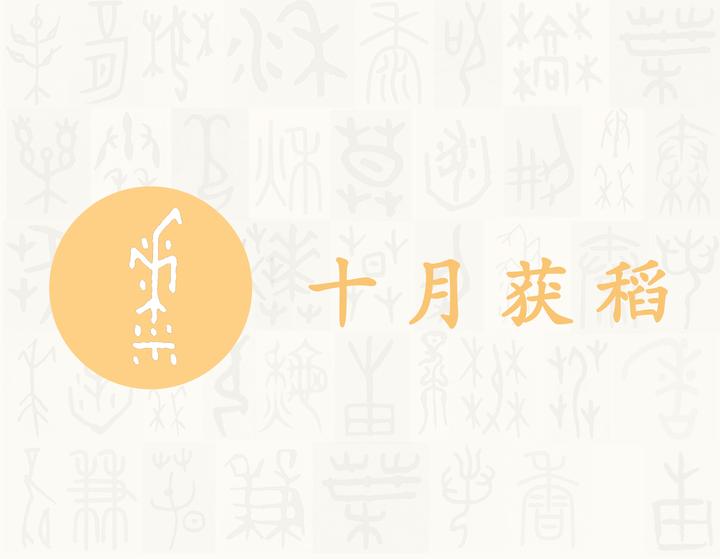 稻——每日一字·禾部字 - 知乎