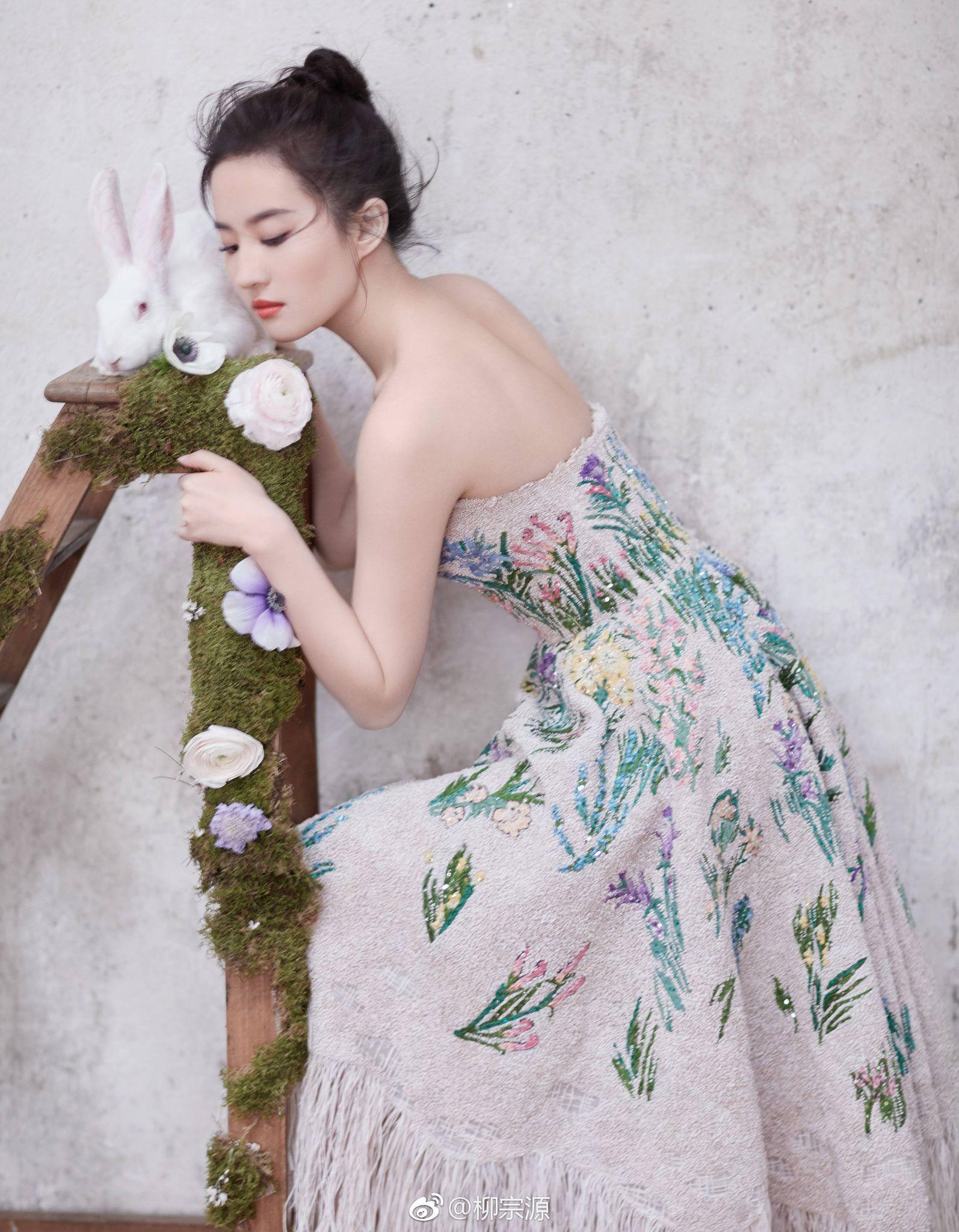 能分享一张你觉得刘亦菲最美的照片吗