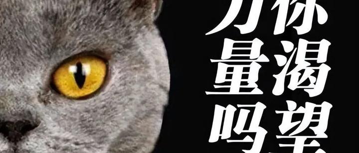 小帅和小美需要知道的“基金投资的基本原理” - 知乎