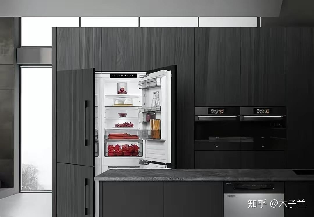 2025年冰箱选购推荐攻略！冰箱怎么选，冰箱哪个品牌好，冰箱品牌排行榜前十名！ - 知乎