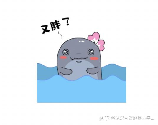 你收藏过哪些江豚的表情包图片?