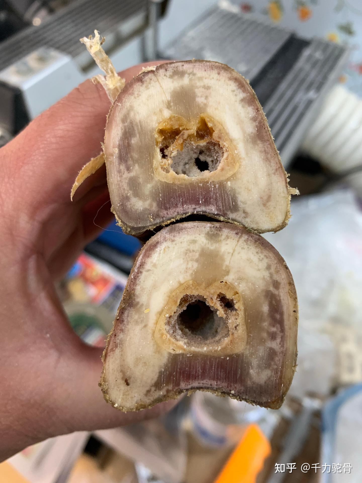 文玩驼骨大肠 驼骨大肠108-驼骨大肠108促销价格、驼