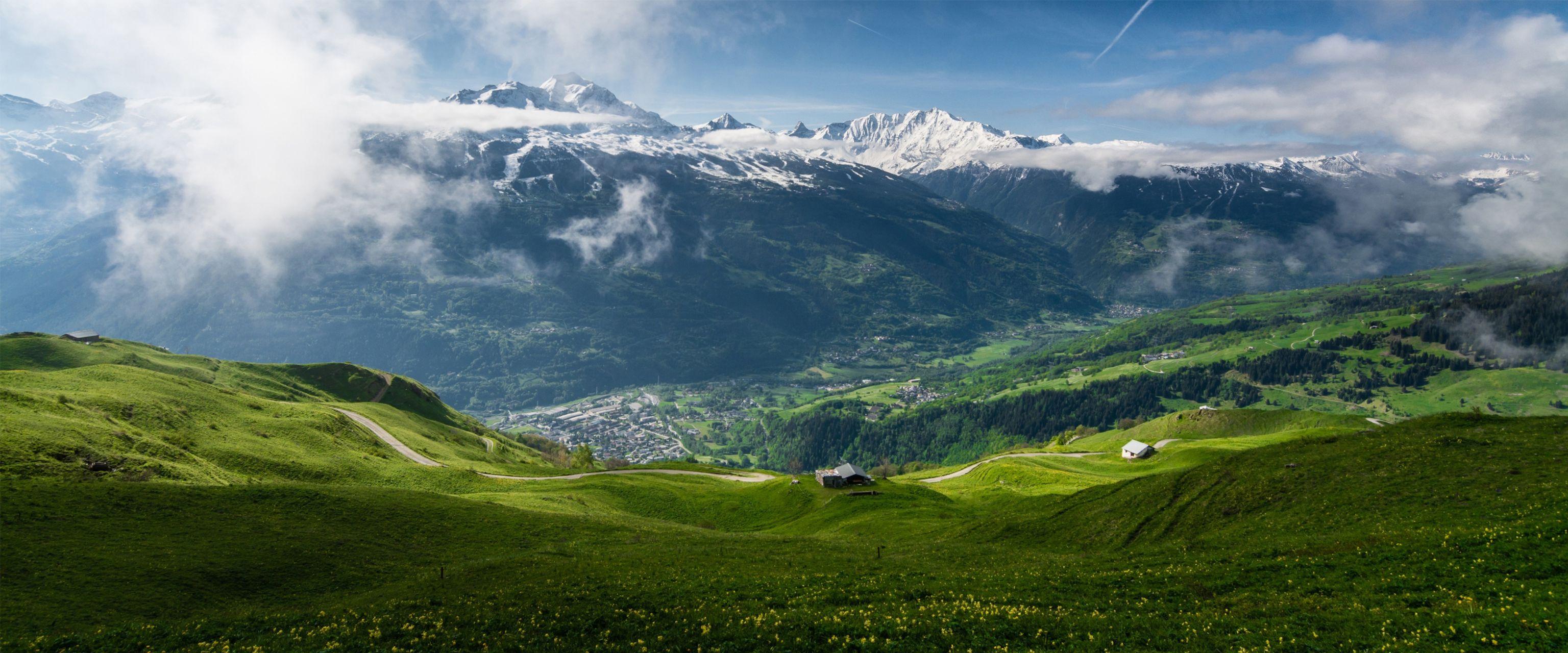 有没有好看的带鱼壁纸,电脑宽屏的! - 知乎