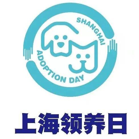 上海领养日丨线上宠物领养100期 - 知乎