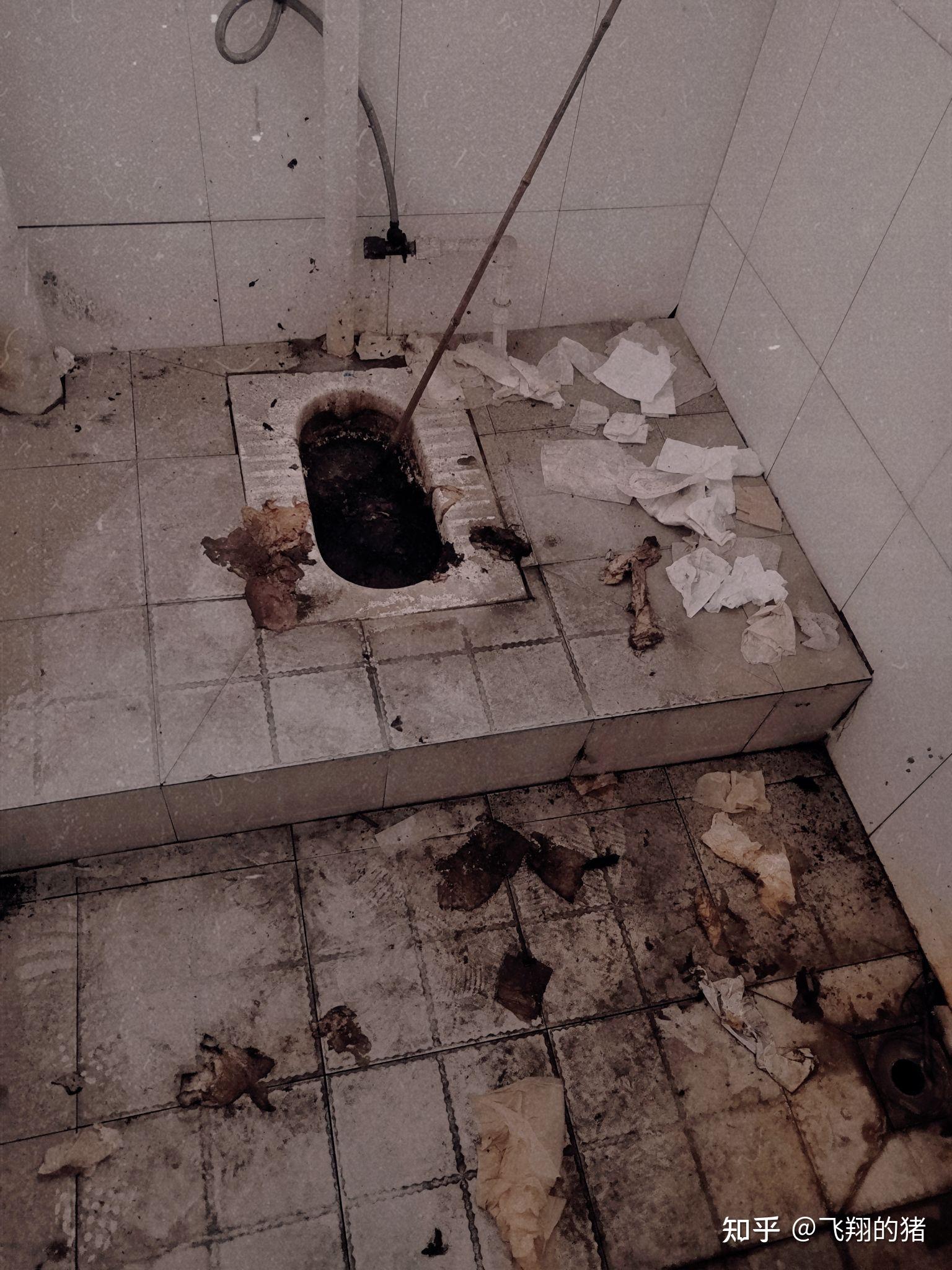 你见过的最脏的厕所什么样