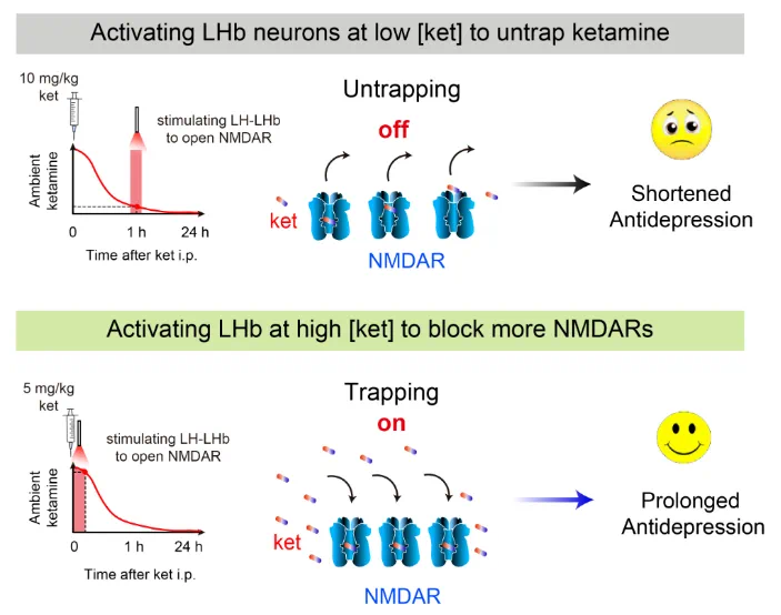 马斯克再次回应吸毒风波称按照处方规定服用缓解情绪低落如何看待此事