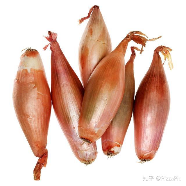 chiveleekscallionshallot有什么区别