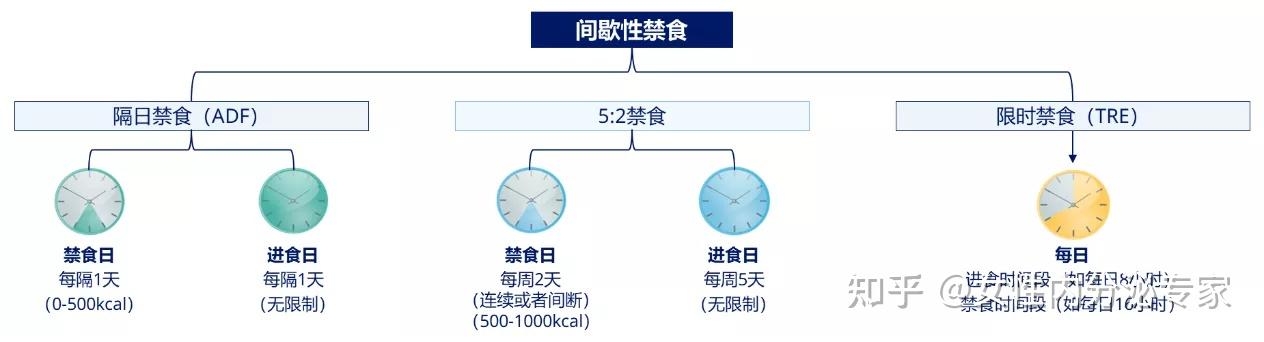 减肥“新宠”——间歇性禁食 - 知乎