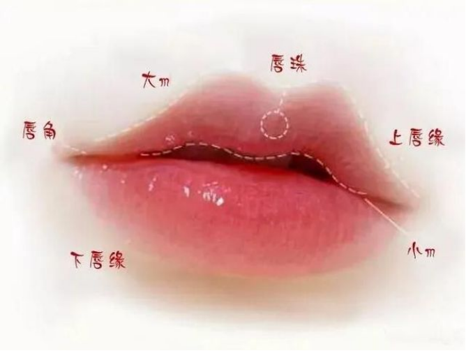 唇裂的遗憾:唇珠缺失 - 知乎