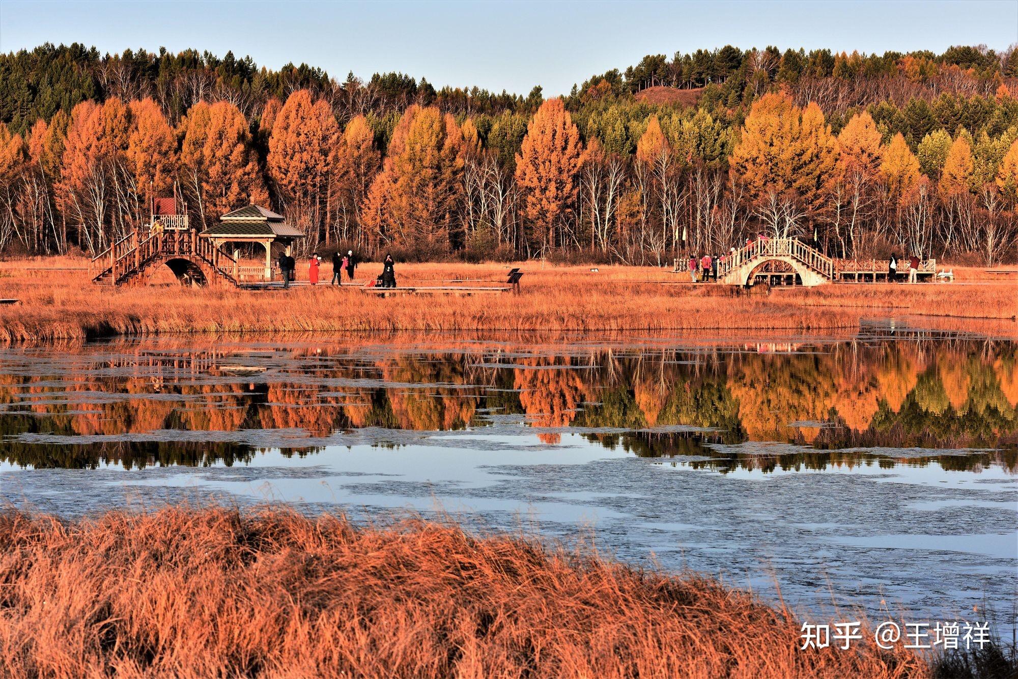 塞罕坝国家森林公园的自然风景怎么样?
