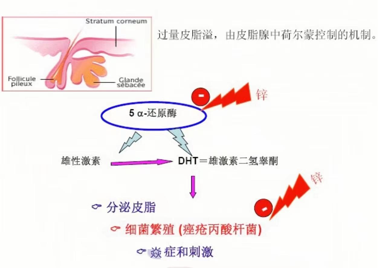 v2-4e7dd68748ce1357a2360672bf035cc3_r.jpg