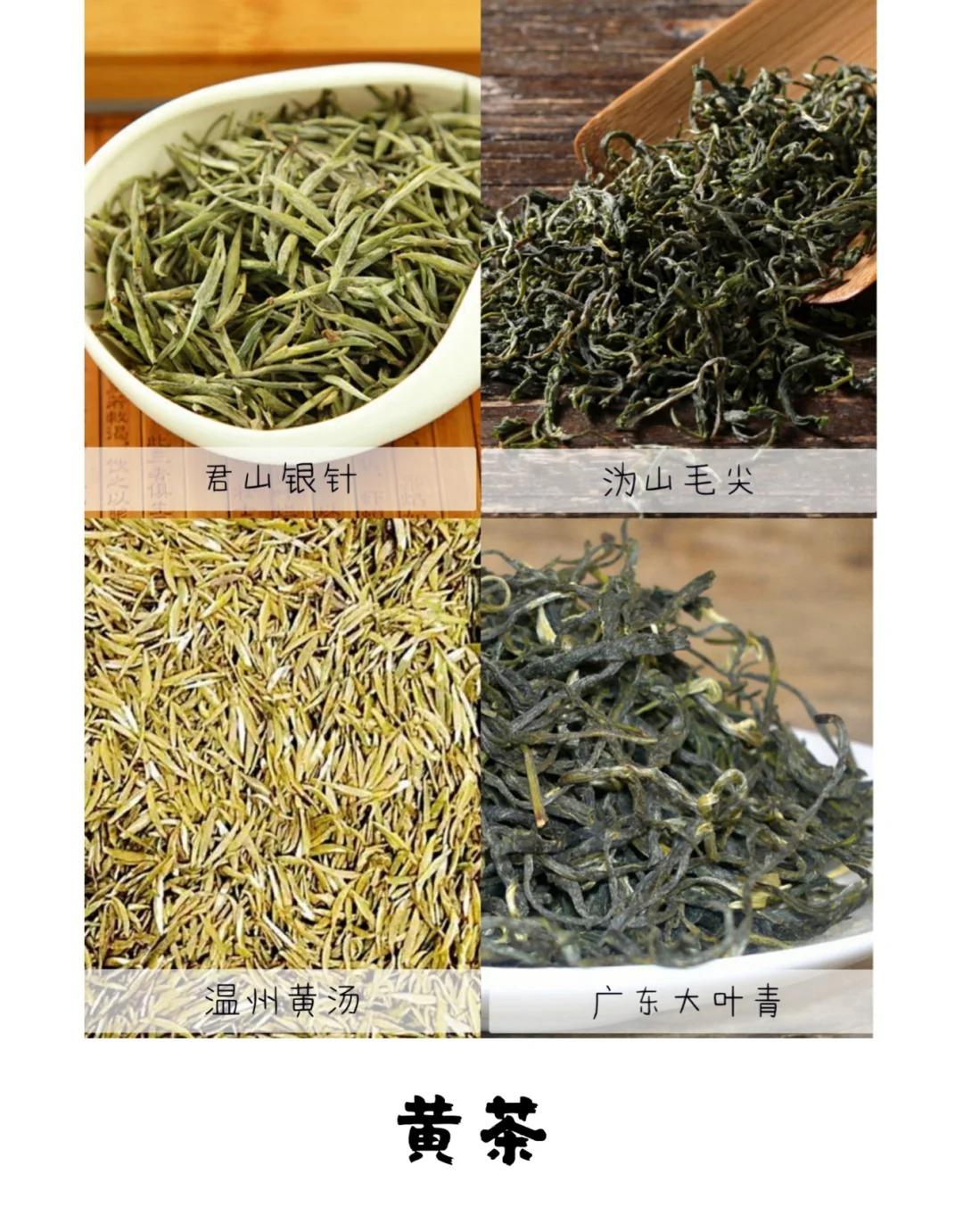 中国茶叶分类，一文全了解，建议收藏！ - 知乎