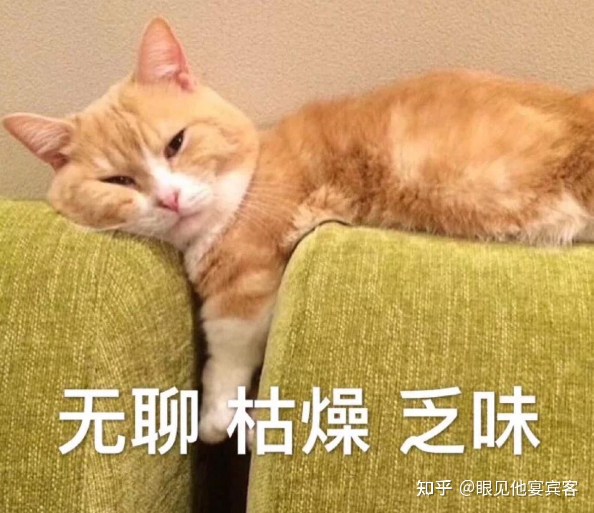 英语中有哪些表示“乏味、无聊”的单词或单词组合？ - 知乎
