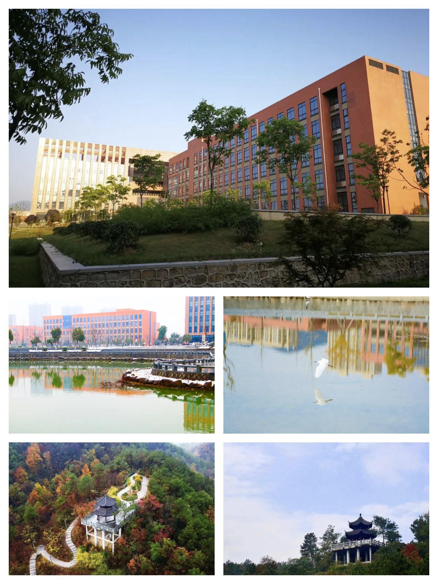 伟德国际海洋馆没“鲸”费了