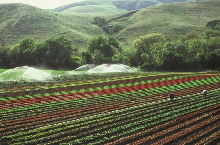 归农商城丨归农电商农业科技智能农机现代化农业