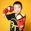 毒树之果:是否可以作为证据使用? - 知乎