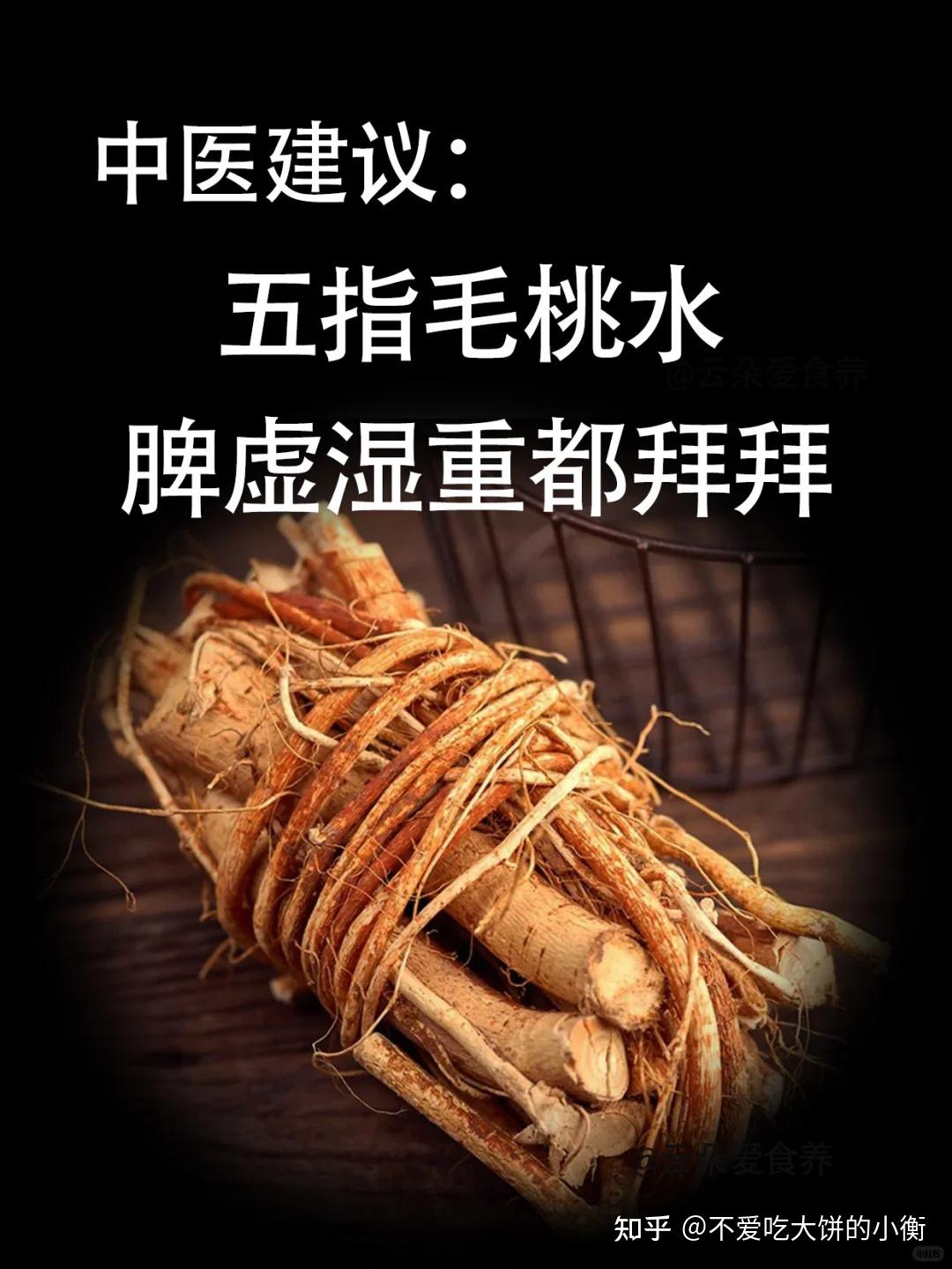 中医建议:五指毛桃茯苓水,跟脾虚湿重说拜拜! - 知乎