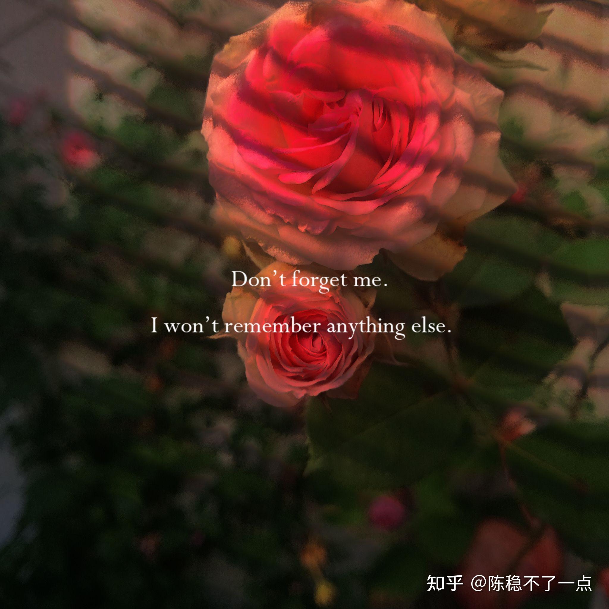 能分享你相册里带红色的照片吗