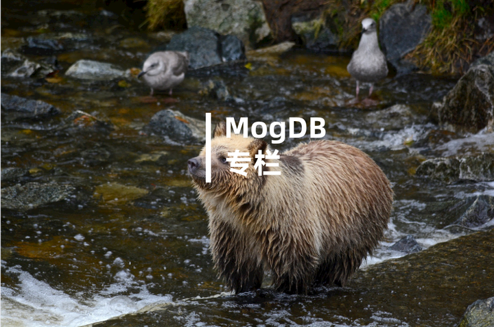 mogdb