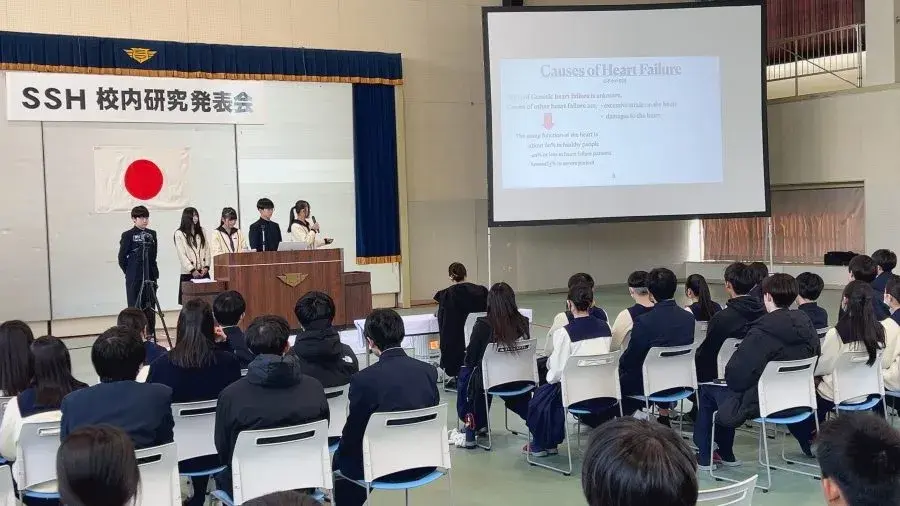 请输入图片描述