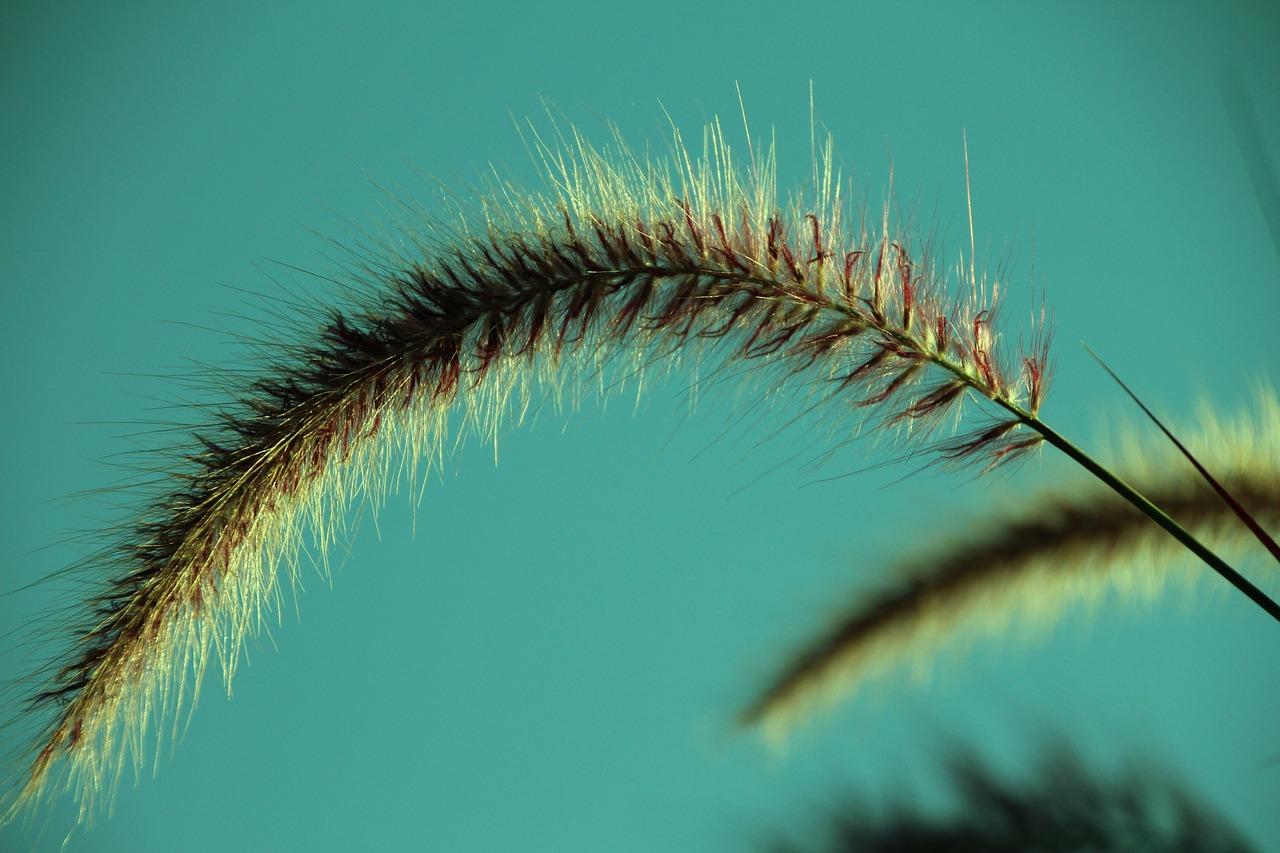 2. 美树爽户型亮点