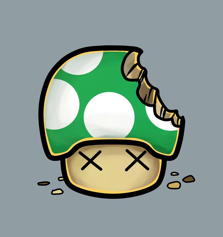 万家乐财务状况