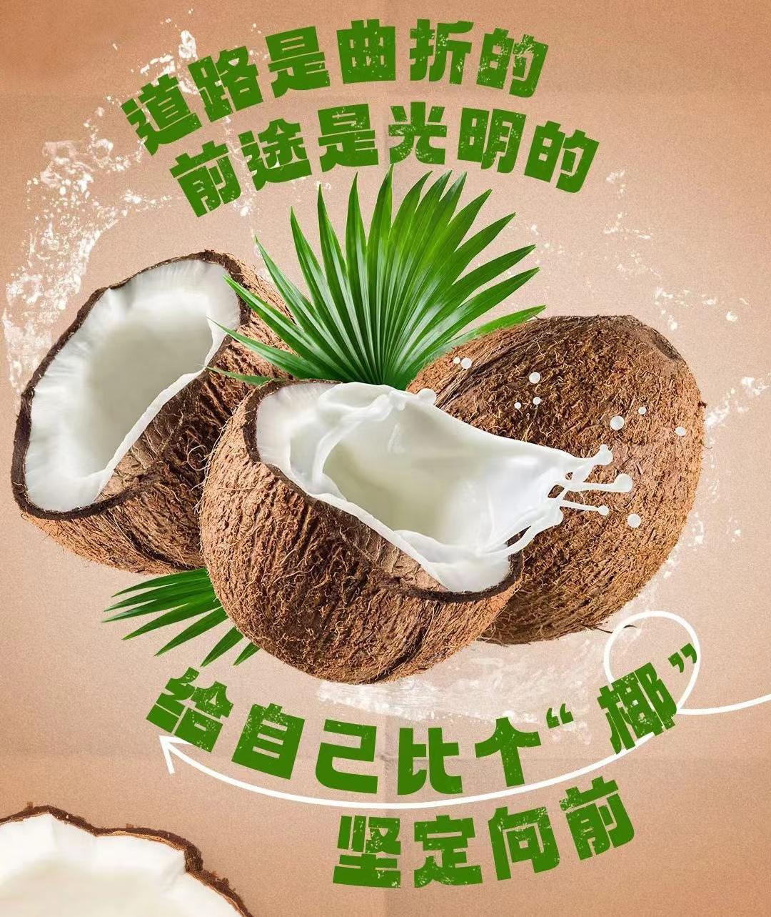 椰浆粉?椰子粉?有什么不一样? - 知乎