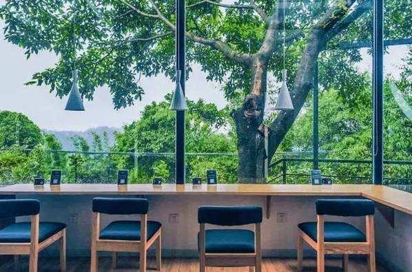 重庆旅游攻略?-重庆游玩攻略三日游详细