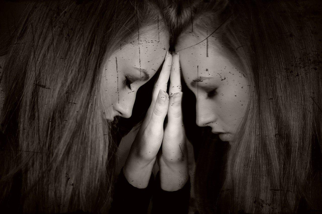 书香中觅家国梦