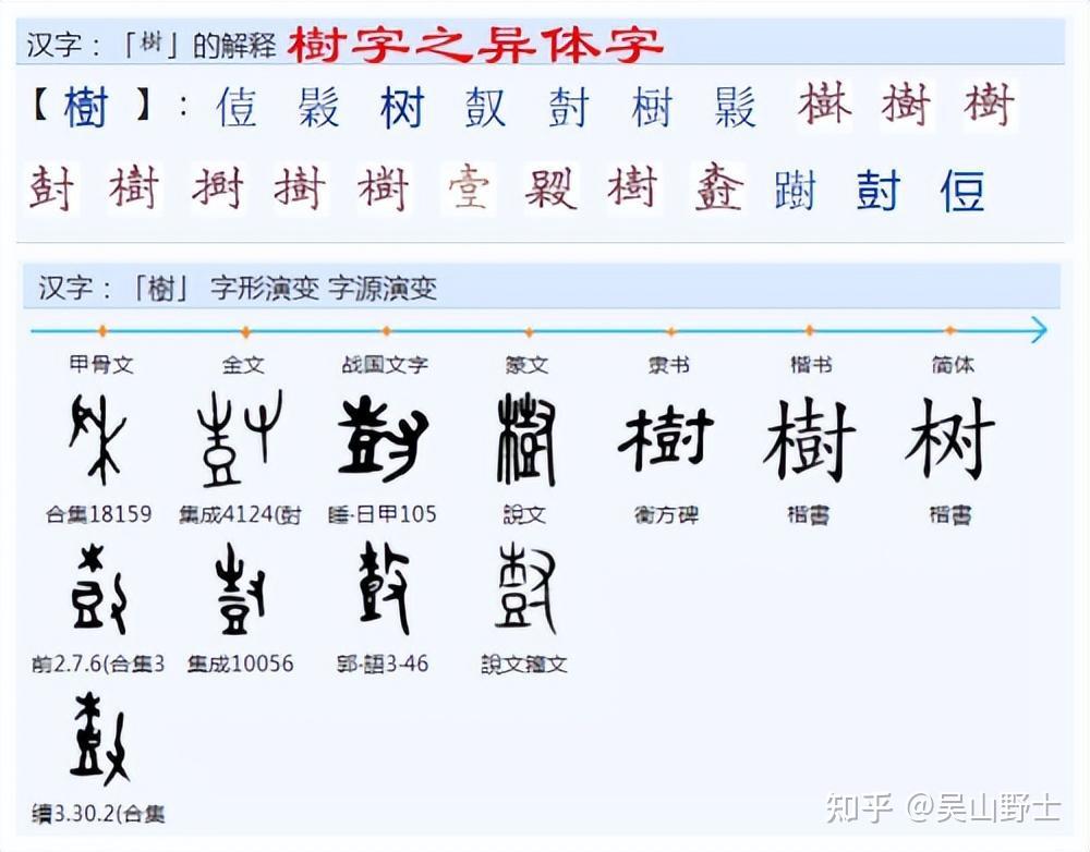 “树”字的构成与本义是什么？ - 知乎