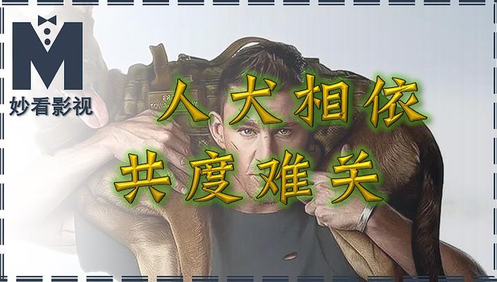 人犬相依共度难关——《忠犬》 - 知乎