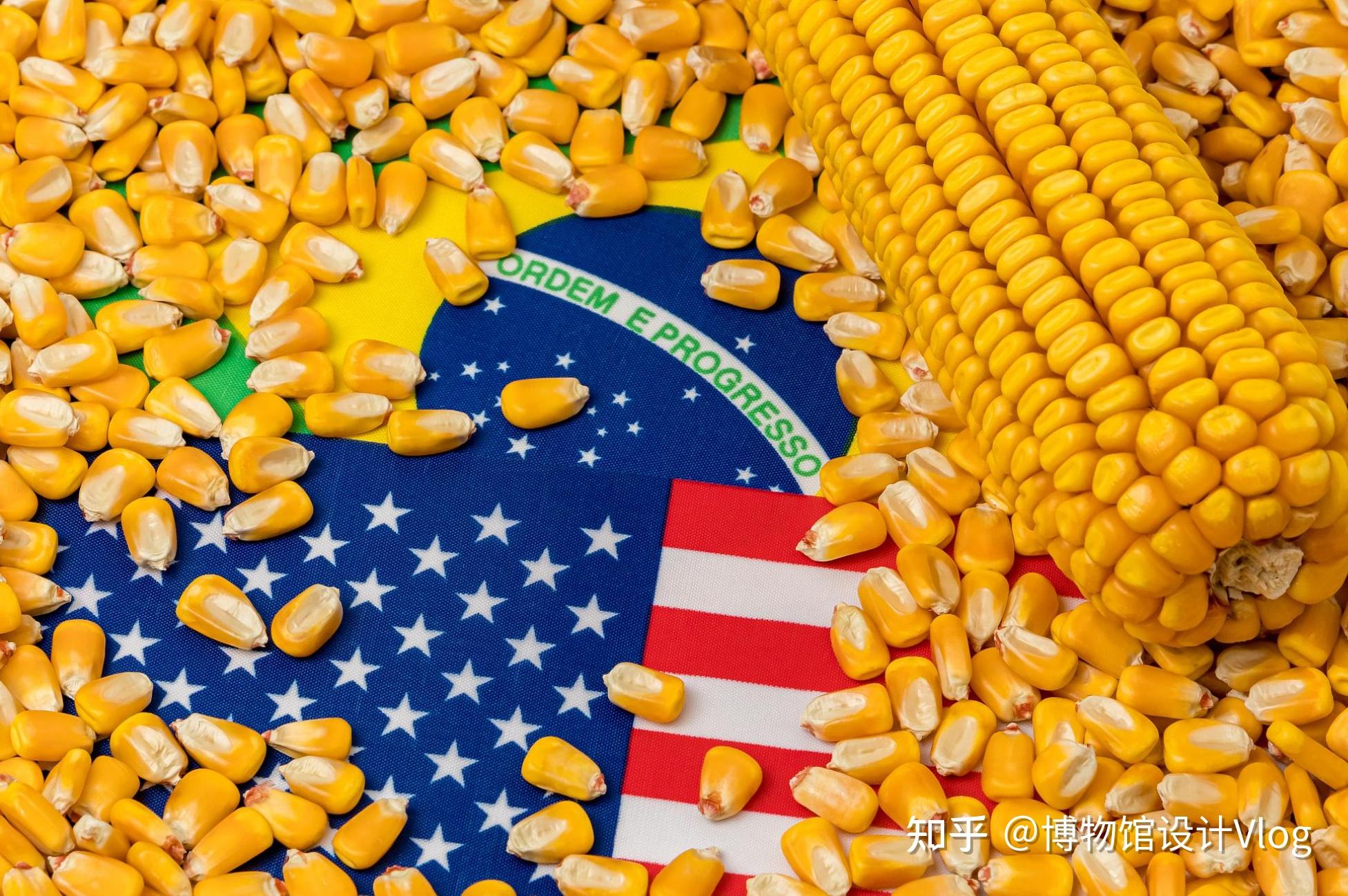 2 万吨美国玉米订单,媒体称「退单潮或将继续」,原因有哪些?