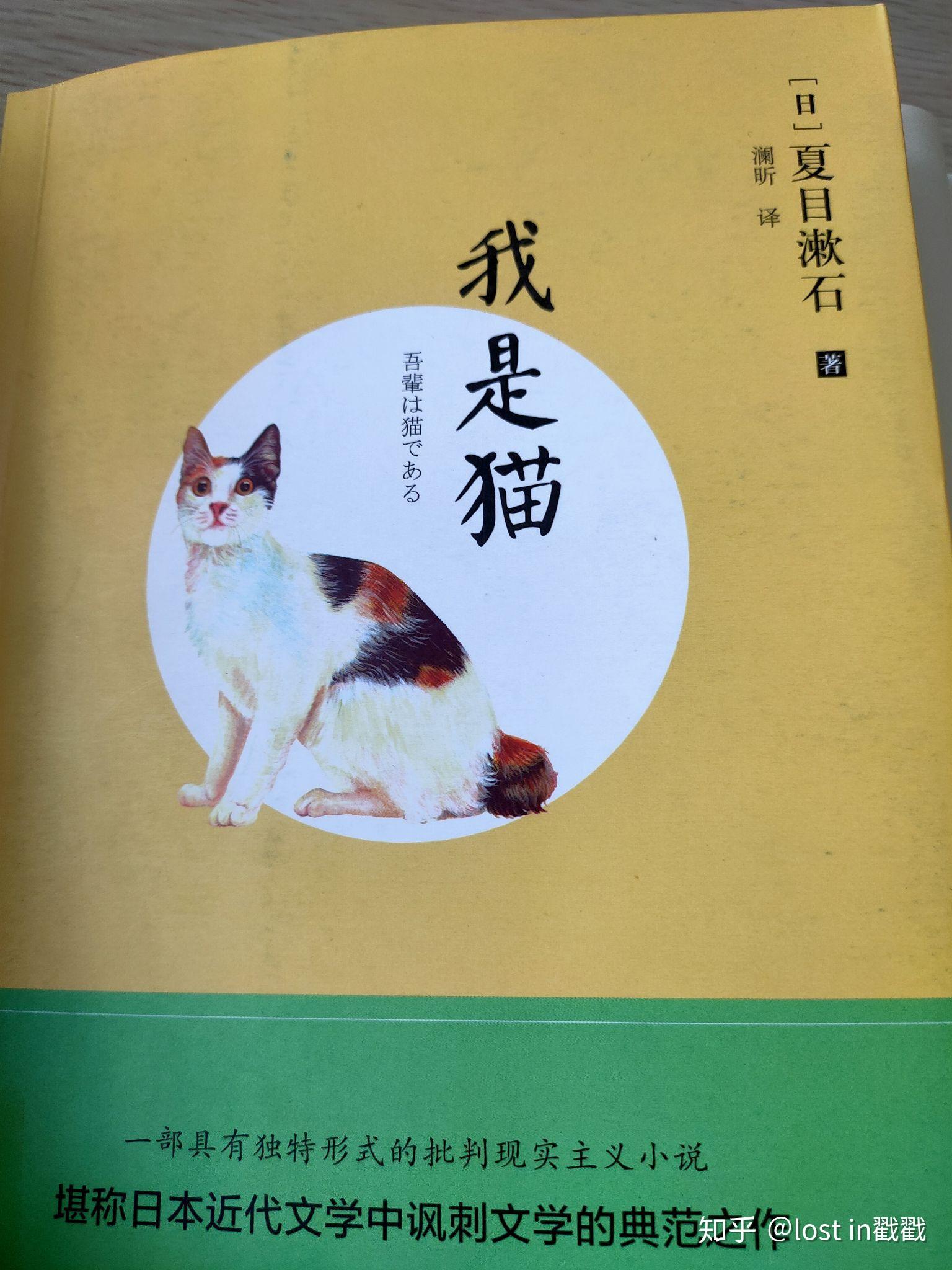 夏目漱石的《我是猫》谁的译本最好?