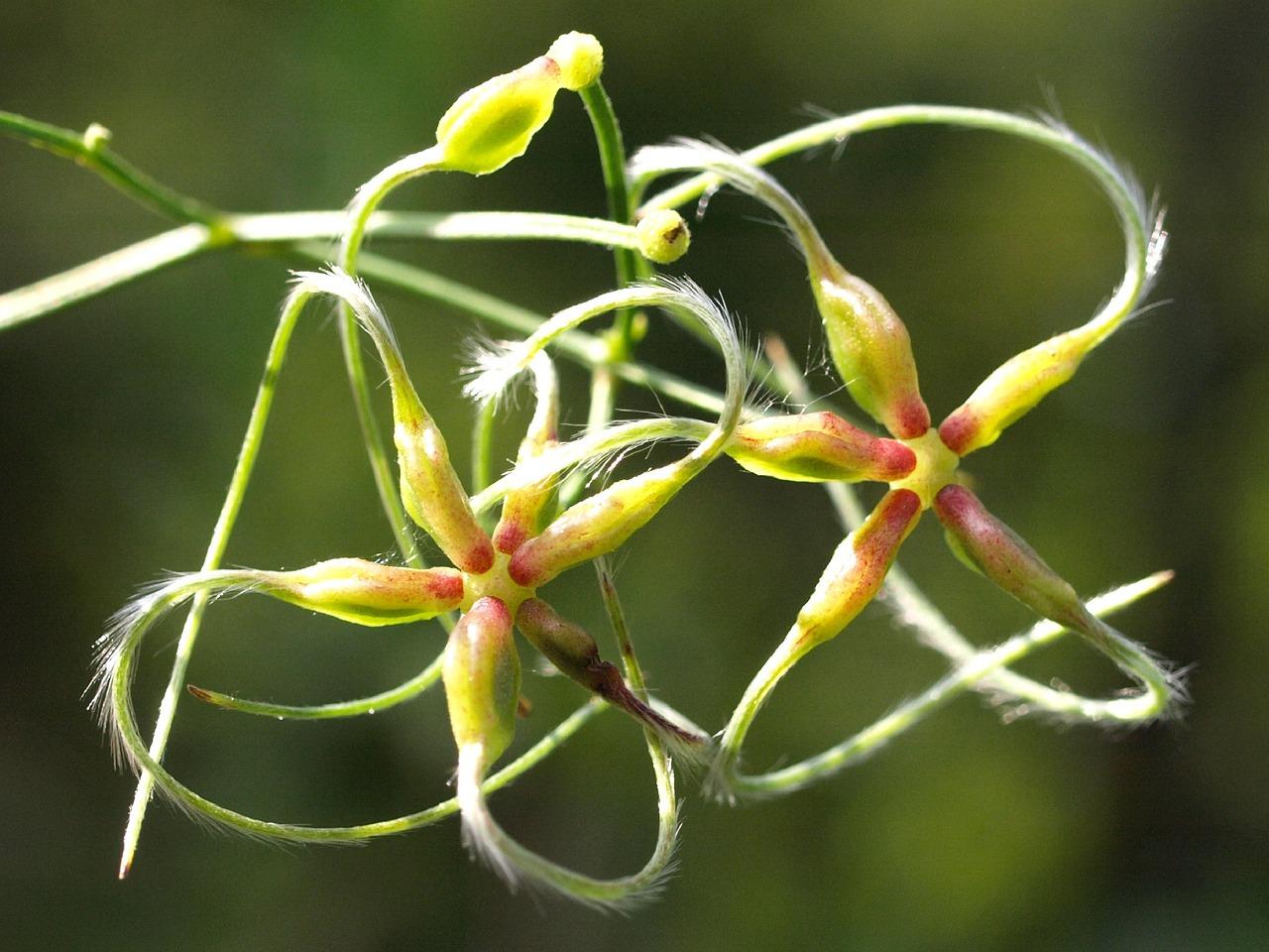 二手房翻新注意事项