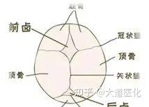 《中医儿科学》完整笔记（精华总结收藏） - 知乎