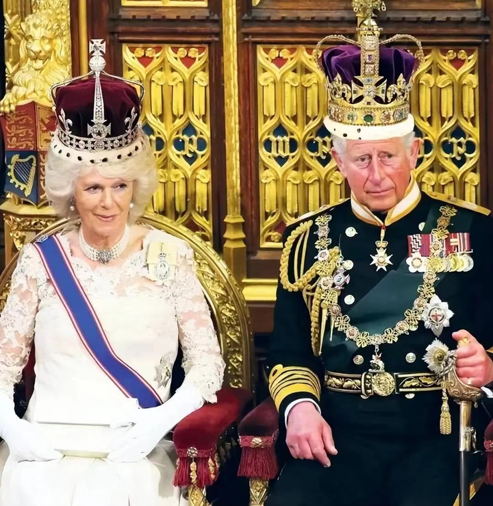 王室内斗前所未有的狗血大戏卡米拉后妈揽大权主干威廉凯特被边缘化