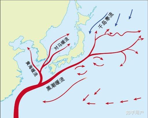 北大西洋暖流会影响摩尔曼斯克为什么日本暖流没有影响海参崴