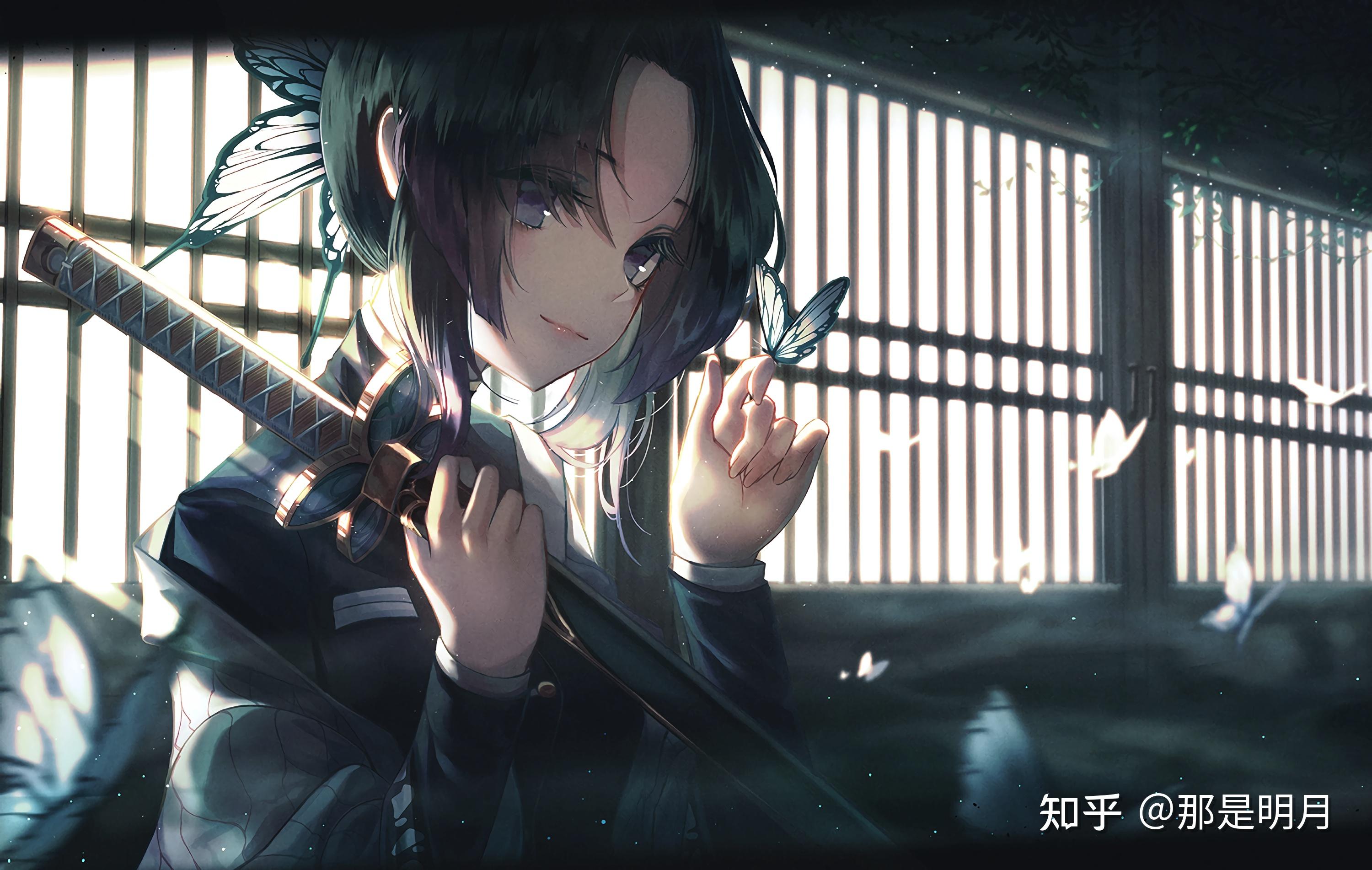 有没有一些蝴蝶忍姐姐的美图可以做壁纸的那种