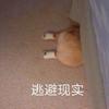 蒙汗药可口