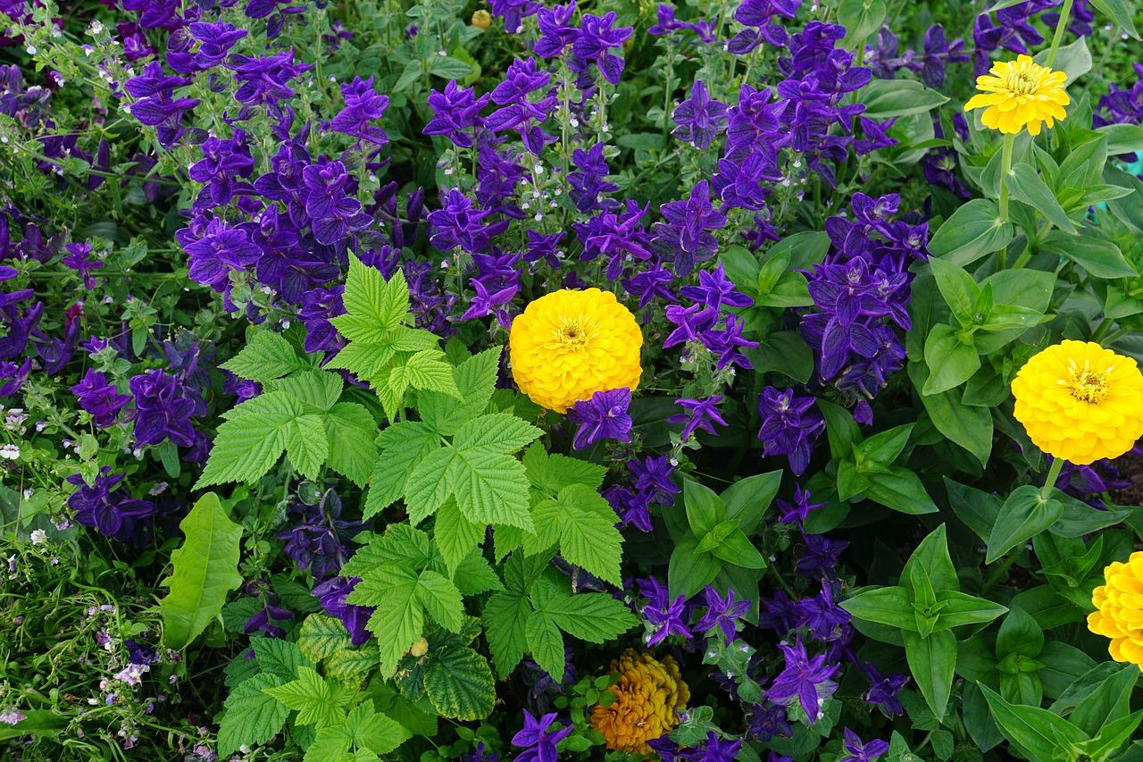 花都有多少平方公里