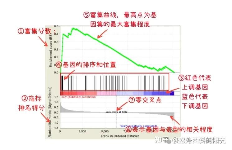 富集分析 | GSEA富集分析一文通透，包括KEGG, GO, Reactome分析 - 知乎