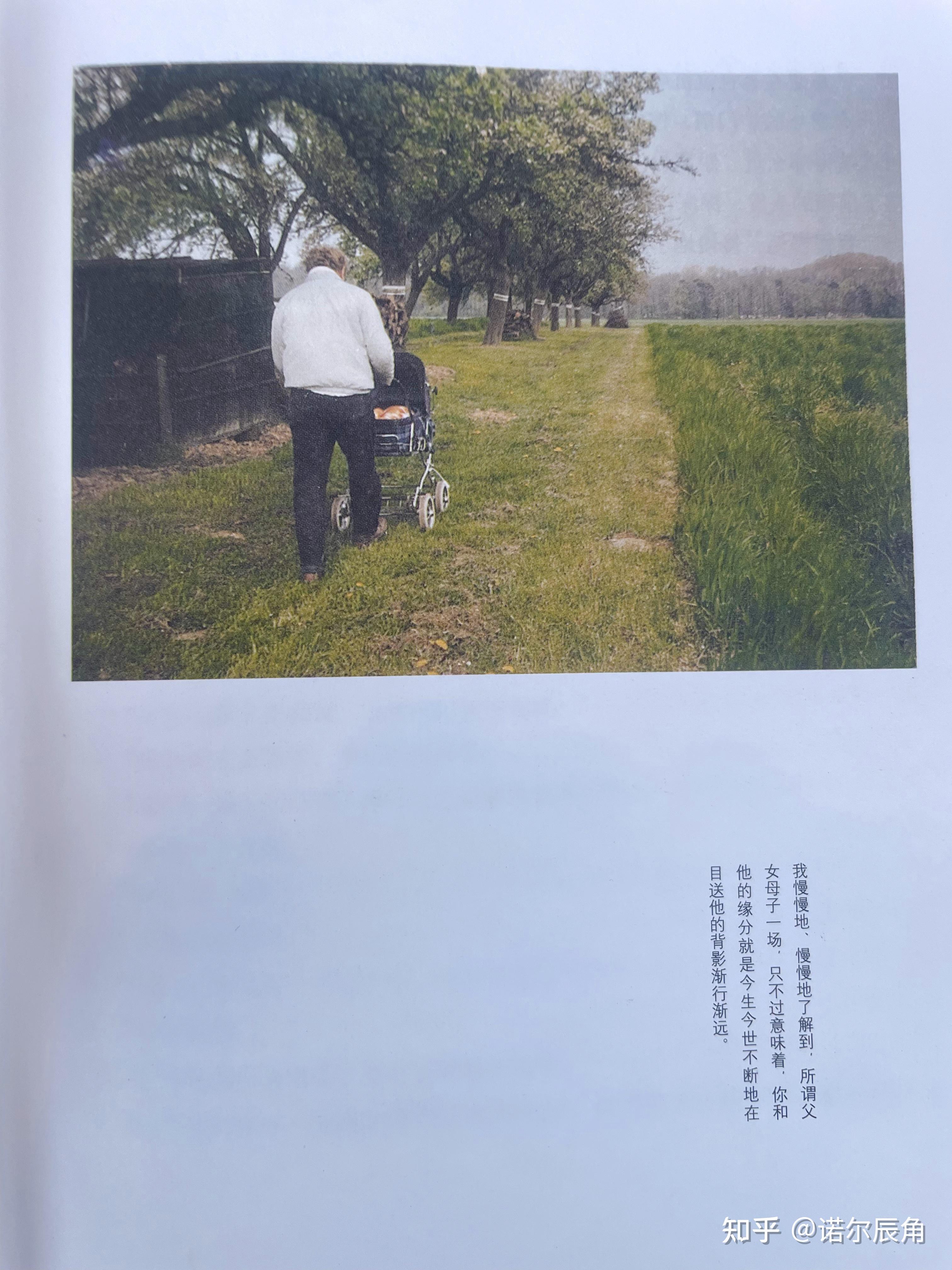 长大了,就去读读龙应台的《目送》吧 - 知乎