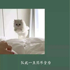 岭南一帅