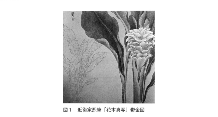 漆黑的彩色——伊藤若冲的花鸟版画- 知乎