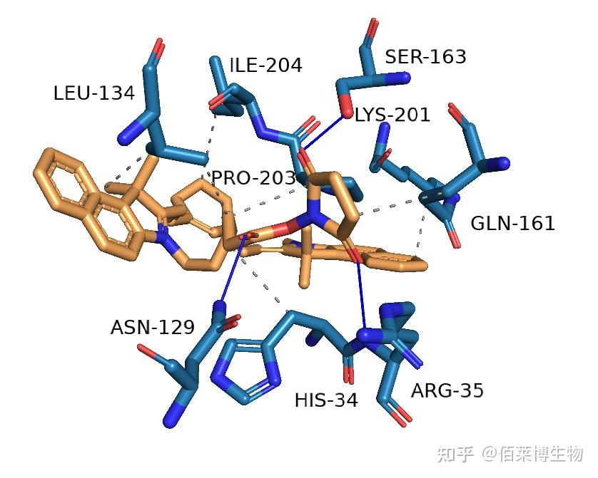 分子对接（molecular docking）技术介绍 - 知乎