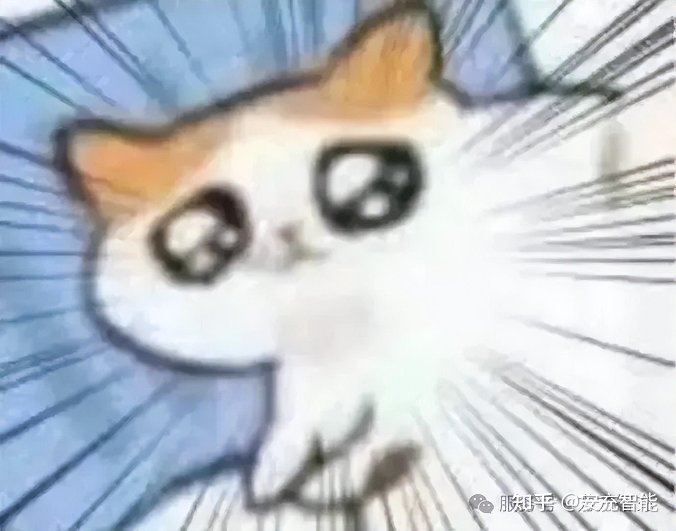OMG!充电桩前的“迷惑行为大赏”!